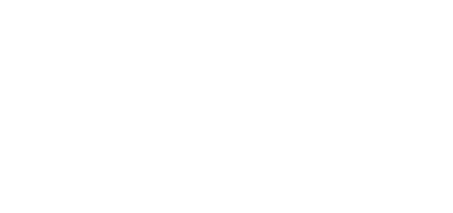 Logo Eletrovibez